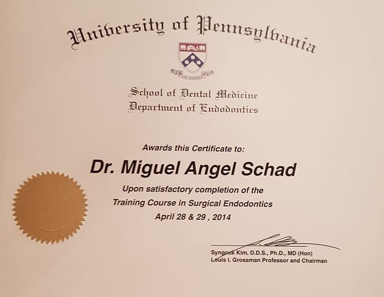 Certificado de finalización del curso de Endodoncia Quirúrgica otorgado a Dr. Miguel Angel Schad por la Universidad de Pennsylvania, destacando su formación en el campo de la endodoncia.
